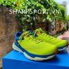 Hoka Zinal Men